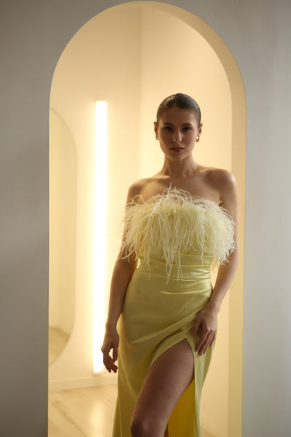 #562_matusenko_dress